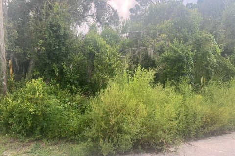 Terreno en venta en Eustis, Florida № 1908231 - foto 1