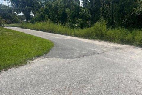 Terreno en venta en Eustis, Florida № 1908231 - foto 2