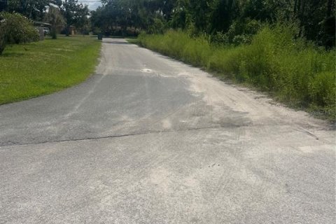 Terreno en venta en Eustis, Florida № 1908231 - foto 5