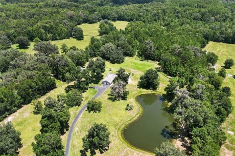 House in Micanopy, Florida 3 bedrooms, 227.8 sq.m. № 2299722 - photo 2