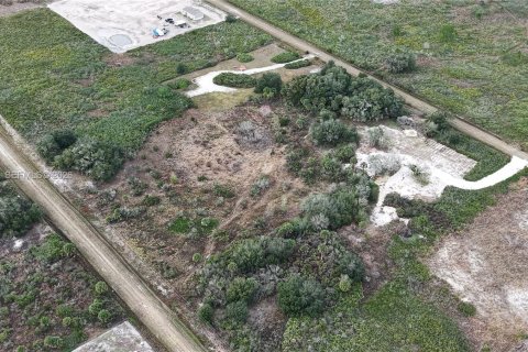 Land in Okeechobee, Florida № 2158157 - photo 9