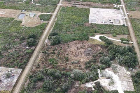 Land in Okeechobee, Florida № 2158157 - photo 13