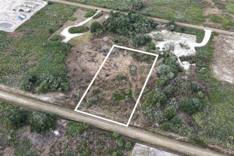Land in Okeechobee, Florida № 2158157 - photo 6