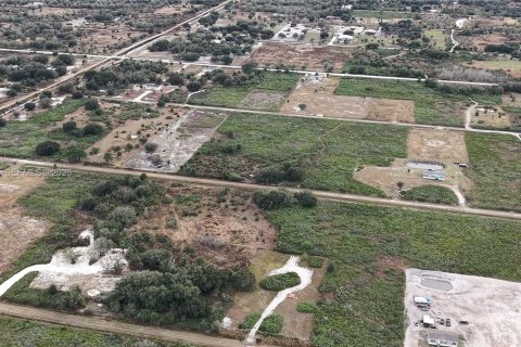 Land in Okeechobee, Florida № 2158157 - photo 25