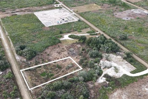 Land in Okeechobee, Florida № 2158157 - photo 10