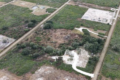 Land in Okeechobee, Florida № 2158157 - photo 15