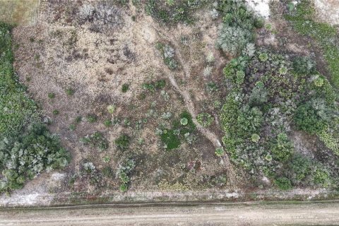 Land in Okeechobee, Florida № 2158157
