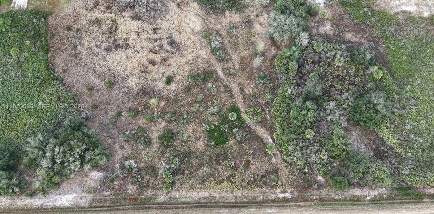 Land in Okeechobee, Florida № 2158157