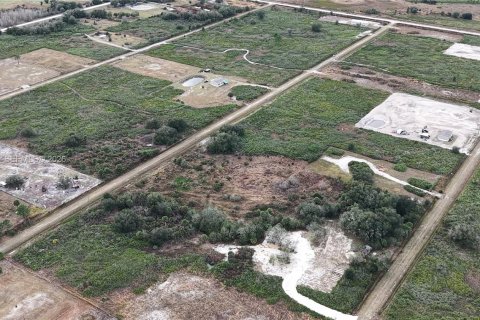 Land in Okeechobee, Florida № 2158157 - photo 17