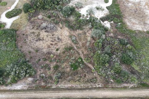 Land in Okeechobee, Florida № 2158157 - photo 2