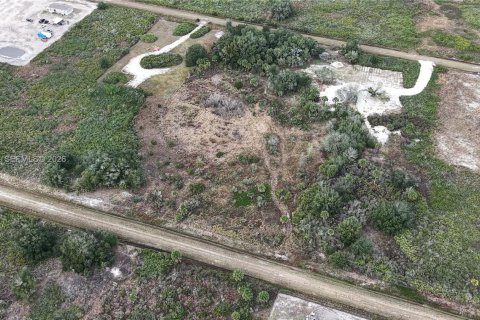 Land in Okeechobee, Florida № 2158157 - photo 7