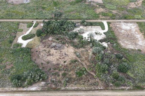Land in Okeechobee, Florida № 2158157 - photo 5