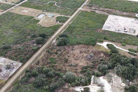 Land in Okeechobee, Florida № 2158157 - photo 14