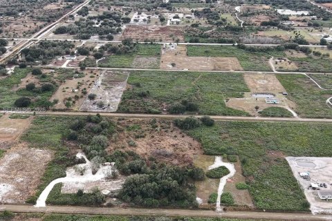 Land in Okeechobee, Florida № 2158157 - photo 24