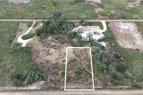 Land in Okeechobee, Florida № 2158157 - photo 4