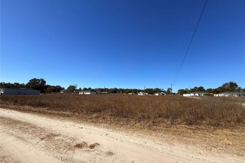 Land in Ocala, Florida № 2163349 - photo 4