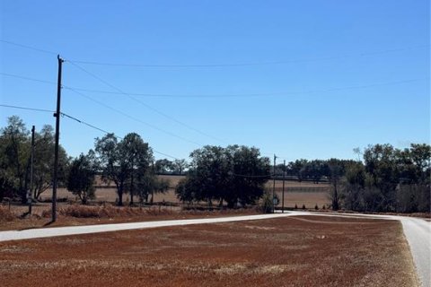 Land in Ocala, Florida № 2163349 - photo 2