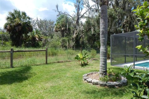 Villa ou maison à louer à Fish Hawk, Floride: 4 chambres, 219.06 m2 № 1902192 - photo 25