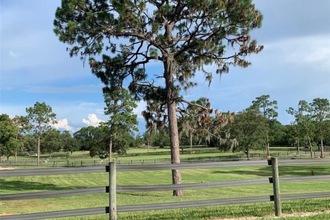 Villa ou maison à vendre à Beverly Hills, Floride: 4 chambres, 278.71 m2 № 1744327 - photo 10