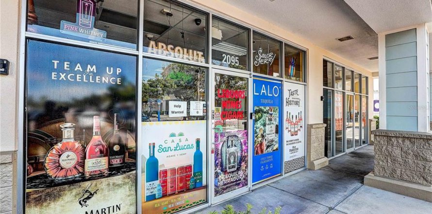 Immobilier commercial à Land O' Lakes, Floride 195.09 m2 № 2123664