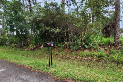Land in Palm Coast, Florida № 1383738 - photo 1