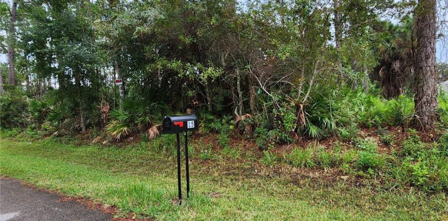 Land in Palm Coast, Florida № 1383738