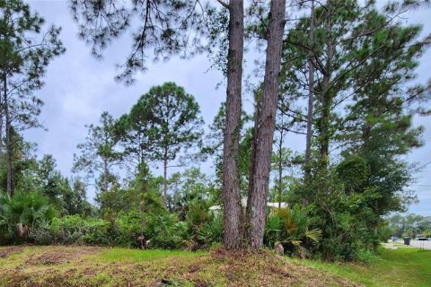 Land in Palm Coast, Florida № 1383738 - photo 2