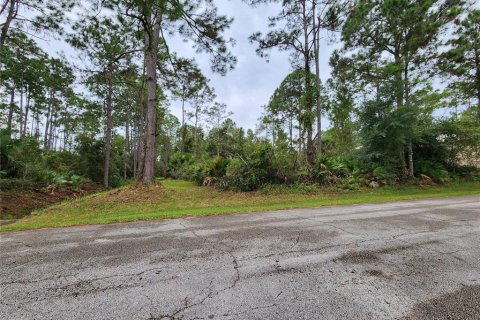 Land in Palm Coast, Florida № 1383738 - photo 3