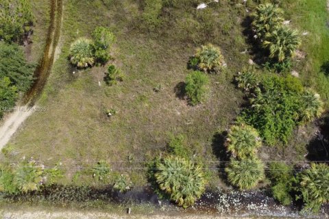 Terreno en venta en Naples, Florida № 1481721 - foto 7