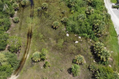 Terreno en venta en Naples, Florida № 1481721 - foto 5