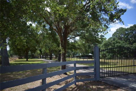 Casa en venta en Odessa, Florida, 4 dormitorios, 418.06 m2 № 1721471 - foto 2
