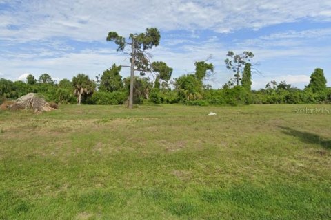 Land in Rotonda, Florida № 2159785 - photo 6