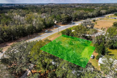 Land in Lake City, Florida № 2158993 - photo 2