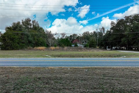 Land in Lake City, Florida № 2158993 - photo 12