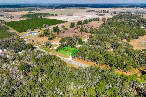 Land in Lake City, Florida № 2158993 - photo 21
