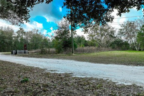 Land in Lake City, Florida № 2158993 - photo 3