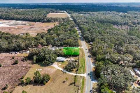 Land in Lake City, Florida № 2158993 - photo 24