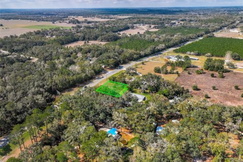 Land in Lake City, Florida № 2158993 - photo 22