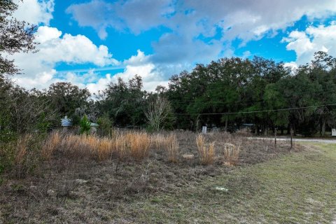 Land in Lake City, Florida № 2158993 - photo 20