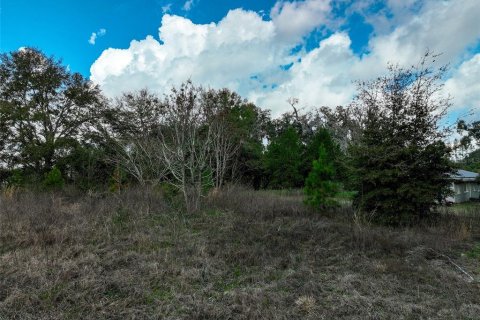 Land in Lake City, Florida № 2158993 - photo 16