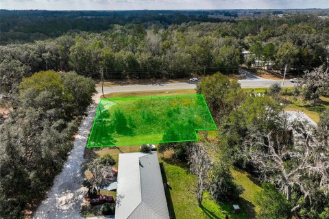 Land in Lake City, Florida № 2158993 - photo 4