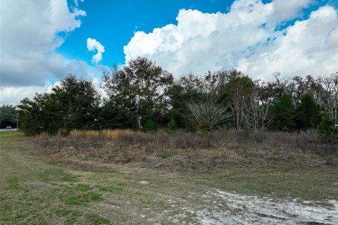 Land in Lake City, Florida № 2158993 - photo 18