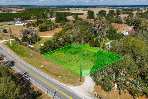 Land in Lake City, Florida № 2158993 - photo 13