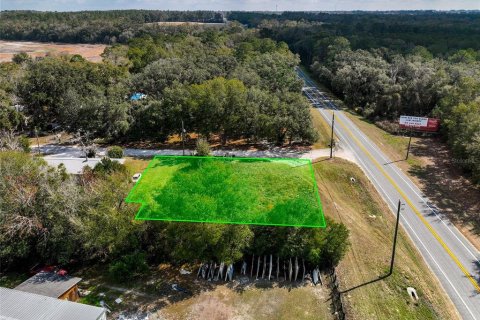 Land in Lake City, Florida № 2158993 - photo 15