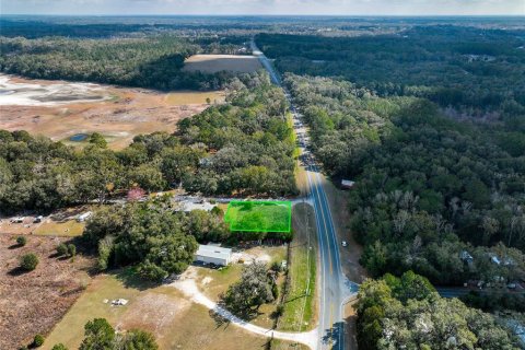 Land in Lake City, Florida № 2158993 - photo 17