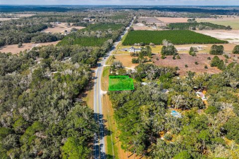 Land in Lake City, Florida № 2158993 - photo 7