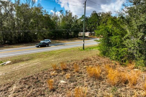 Land in Lake City, Florida № 2158993 - photo 10