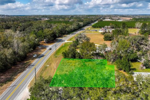 Land in Lake City, Florida № 2158993 - photo 14