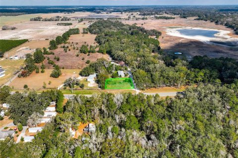 Land in Lake City, Florida № 2158993 - photo 6