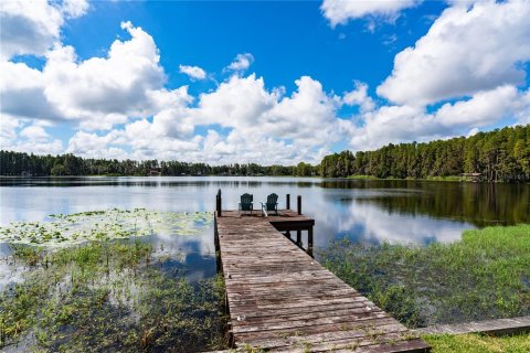 Casa en venta en Land O' Lakes, Florida, 3 dormitorios, 158.77 m2 № 2384466 - foto 25